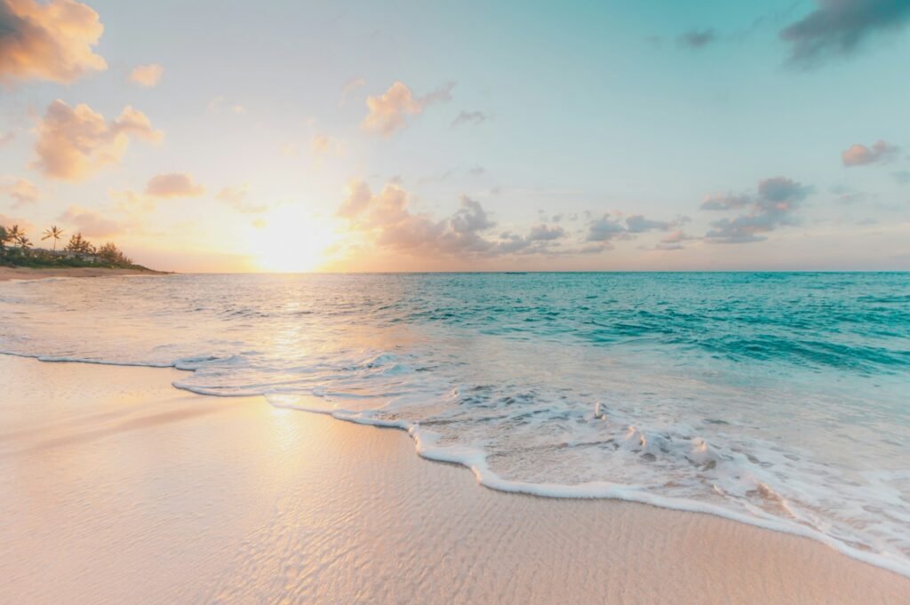 9 Best Travel Agency Website Templates for 2026